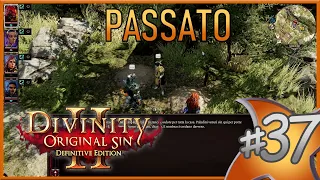 Seppelire il Passato e Ryker - | Divinity: Original Sin 2 Gameplay Difficile | Ep.37