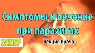 Какие симптомы при паразитах в организме человека! ✓ Эффективное лечение от паразитов от врача.