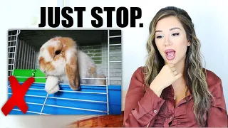 REACTING TO OUR SUBSCRIBERS RABBIT HABITATS | Pt. 4