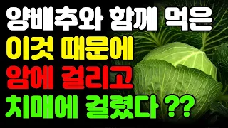 양배추와 절대로 함께 먹지마세요! 암과 치매에 걸릴 수 있습니다! - 최악의 궁합인 음식 3가지와 보약보다 좋은 최고의 레시피 3가지 꼭 알고 가세요