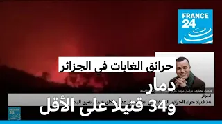 هل تمت السيطرة على حرائق الغابات في الجزائر؟ • فرانس 24