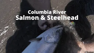 Bank Fishing For Chinook, Steelhead & Sockeye | Columbia River Salmon Fishing |