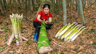 Harvest BAMBOO SHOOTS - 2 Years Alone in Forest