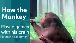 Monkey played games with his brain | Elon Musk's Neuralink Experiment || FACT Fusion
