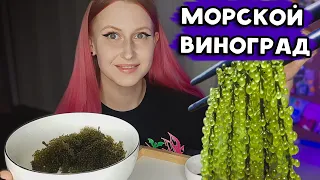 МОРСКОЙ ВИНОГРАД с Вайлдберриз | Зеленая икра или уми будо! Пробую водоросль морской виноград 🍇