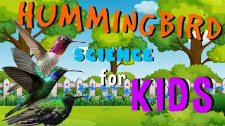 Hummingbirds | Science for Kids