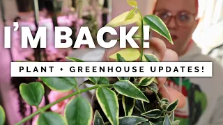 Did my plants survive? Plant & Greenhouse Updates!