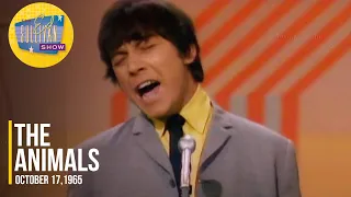 The Animals "Work Song" on The Ed Sullivan Show