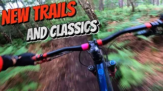 Shredding New & Classic Trails