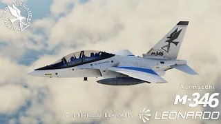 DWSim Leonardo Aermacchi M-346 Basic Flight