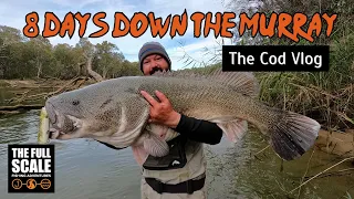 8 Days Down The Murray | The Murray Cod Vlog | The Full Scale