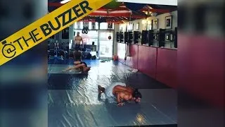 Conor McGregor’s training partner has him doing some crazy stuff … like lizard walks