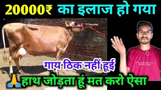 How treatment of neck blanket swelling | bresket edema in cow | hard swelling || hada vets club ||