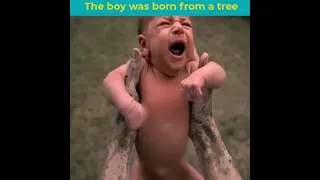The child born the tree👶😳😳🌴