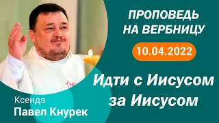 Проповедь кс Павла Кнурека на 10 04 2022 - Католическое вербное воскресенье