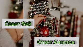 СРОЧНО ❄️☃️СОВЕТ ФЕЙ, ОТВЕТЫ АНГЕЛОВ ДЛЯ ВАС 🕊️✨