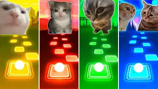 Vibing Cat vs Sad Cat vs Chipi Chipi Chapa Chapa Cat vs Talking Cats - Tiles Hop EDM Rush