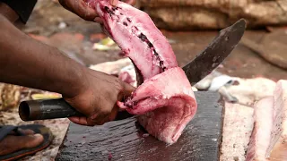 How To Fillet Every Fish | Method Mastery |Amazing Live Fish Cutting Skills|Boneless Fish cutting