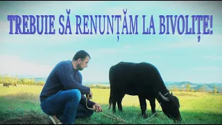 TREBUIE SĂ RENUNȚĂM LA BIVOLIȚE! #OrășeanLaȚară!