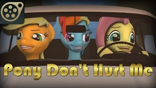 [SFM] Pony Don't Hurt Me