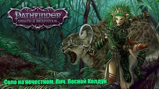 Pathfinder: Wrath of the Righteous.  Solo. Lich. Соло на нечестной. Путь лича.