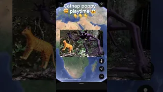 Catnap poppy playtime found on Google maps #googleearth #trending #youtubeshorts #ytshort #maps