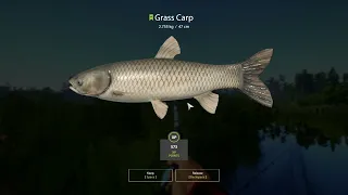 New Spot Bear Lake Russian Fishing 4