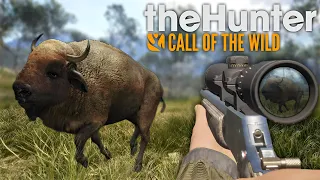 CAÇANDO BISÕES, MAS O TIRO TEM QUE SER PERFEITO! - The Hunter Call Of The Wild