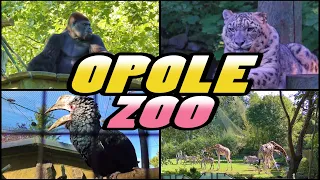 ZOO Opole - Poland [4k]