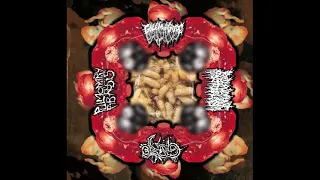 Golem Of Gore / Redundant Protoplasm / Gore / Pulmonary Fibrosis (Split) (2021 - Goregrind)