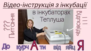 Інкубатори Теплуша. Чому виникають проблеми в інкубації? Відео-інструкція з інкубації. Частина 3