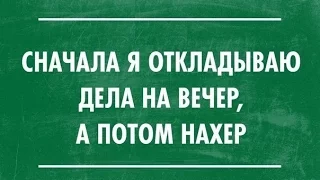 Тим Урбан: Что происходит в голове у закоренелого прокрастинатора (озв. Voffkamind)