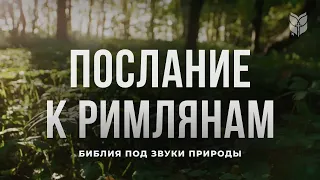 Послание к Римлянам под звуки природы. Современный перевод Библии #biblevision