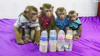 Four Little Dodoo Morri Donnal & Molly Sitting Orderly With Discipline Waiting Mom Prepare Milk