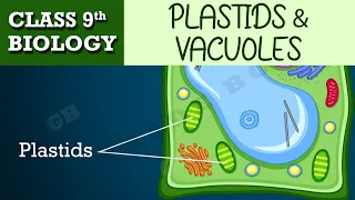 #The fundamental unit of life | Part-8 | CBSE class 9th BIOLOGY | CHAPTER-1 | NCERT CLASS 9