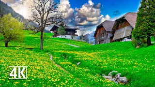 Switzerland 🇨🇭 Saanen, a charming Swiss village