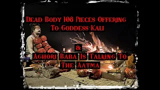 Aghori Baba Is Talking To The Aatma | & Dead Body's 108 Pieces Offering to Goddess Kali |