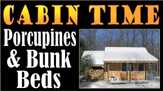 CABIN TIME, Porcupines and Bunkbeds. Rustic Furnishings For The Cabin.