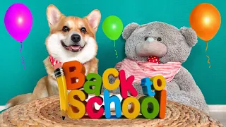 Пора в  школу!🐶 Back to school! Озвучка/ ВЕЛЬШ корги Таффи