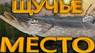 Русская Рыбалочка 4 Щучье место!