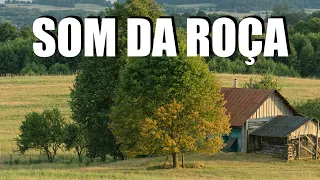 O Som Da Roça - SÓ MODÃO RAIZ  -  Viola Caipira/Sertanejo Raiz