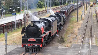 Double Header Steam Train! - R766,  5917 & 4903 - Leightonfield NSW