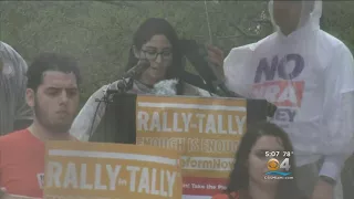 Rally In Tally To Demand Gun Reform