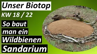 So baut man ein Wildbienen Sandarium - #Biotop - KW 18 / 2022