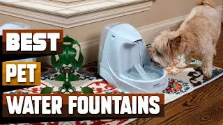 Best Pet Water Fountain In 2024 - Top 10 Pet Water Fountains Review