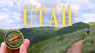 Conquering the CT Slam: One Month in UT's Fantastic Trout Waters