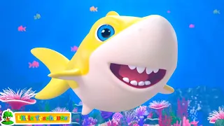 The Baby Shark Song + More Kids Rhymes And Cartoons For Babies