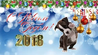 Поздравление С Новым Годом! 2018. Год Собаки.