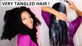 Natural Hair Wash Day When I Don't Have Time To Detangle My Hair |  Shea Moisture