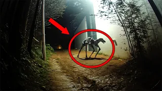 20 Creepy Cryptid Sightings Caught on Film